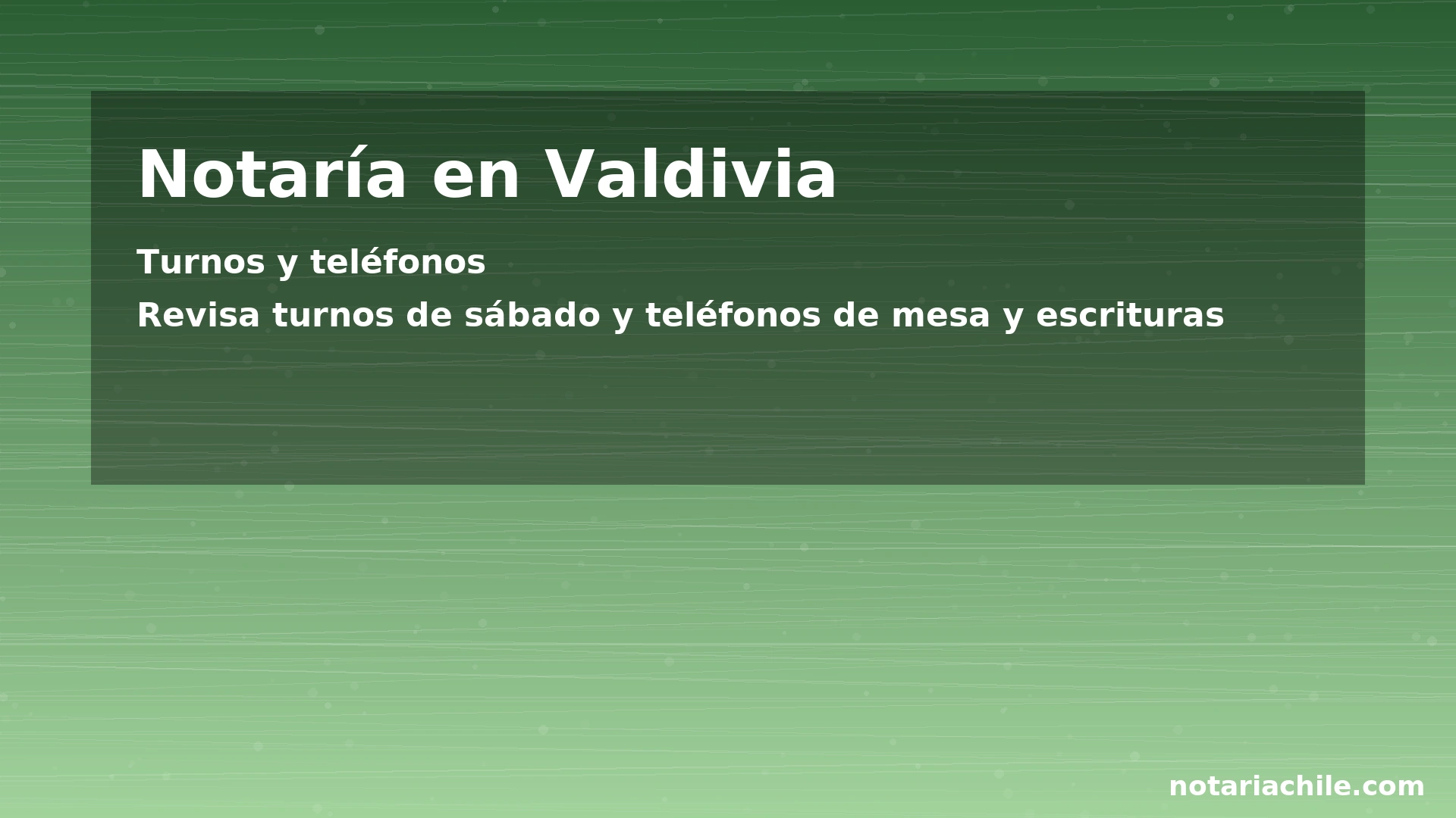Turnos y teléfonos de notarías en Valdivia: consulta de sábado y contactos de mesa/escrituras